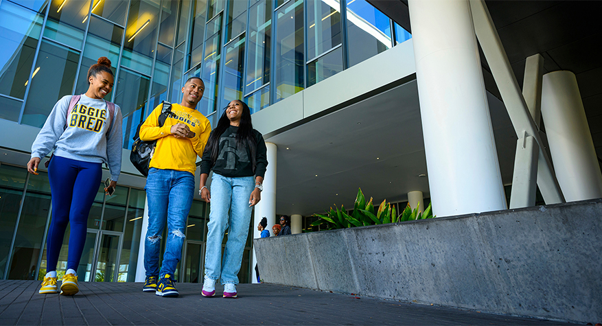 Image Link for Employee Dashboard